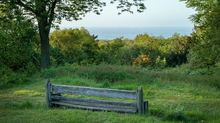 Spring at West Runton, Norfolk from seat towards the sea